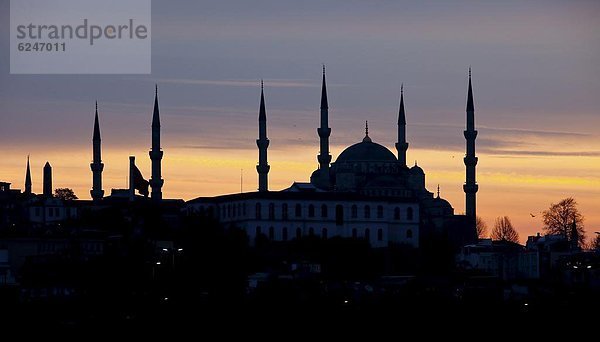 Truthuhn  Europa  Silhouette  Morgendämmerung  blau  bauen  Istanbul  Moschee  Türkei