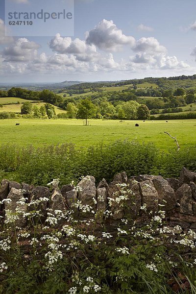 nahe  Europa  Ländliches Motiv  ländliche Motive  Großbritannien  England  Gloucestershire