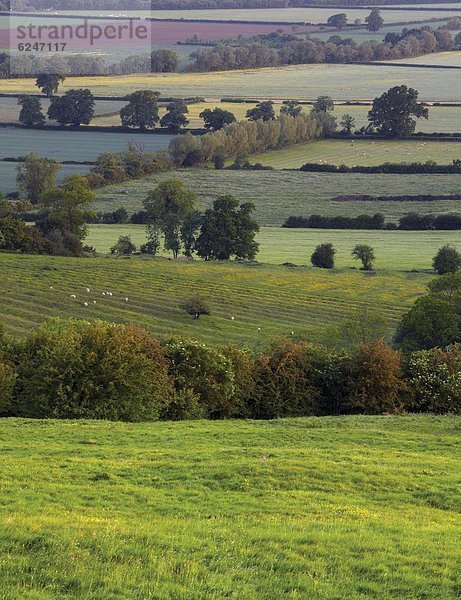 Europa  sehen  Großbritannien  über  Hügel  Ansicht  Cotswolds  England  Gloucestershire