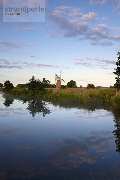 zeigen  Europa  Sommer  Morgen  Großbritannien  Mühle  Hügel  Fluss  Norfolk  Ameise  England  Torf