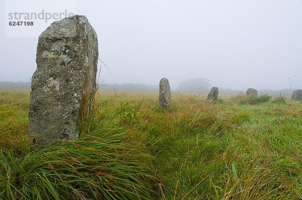 Europa  Großbritannien  Cornwall  England