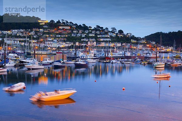 Europa  Großbritannien  Fluss  Darts  Devon  England