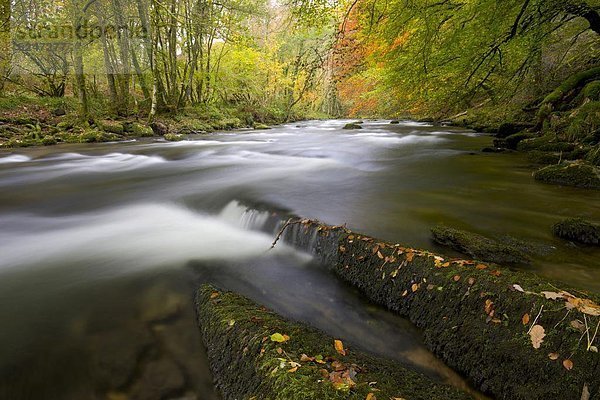 Stufe  nahe  Farbaufnahme  Farbe  nebeneinander  neben  Seite an Seite  Europa  Großbritannien  Fluss  Herbst  England  Somerset