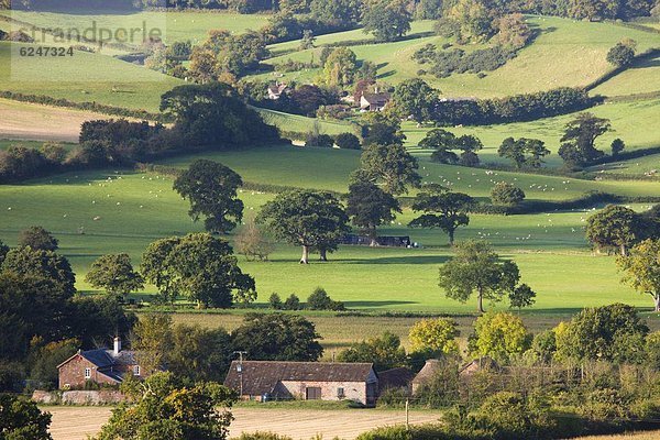 Europa sehen Ländliches Motiv ländliche Motive offen Großbritannien England Somerset