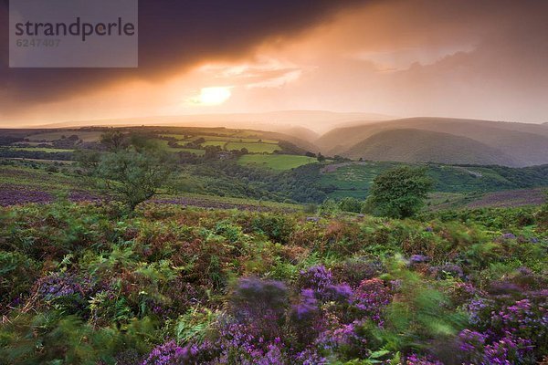 nahe Europa Sonnenuntergang Großbritannien über Hügel Sturm Ostern England Somerset