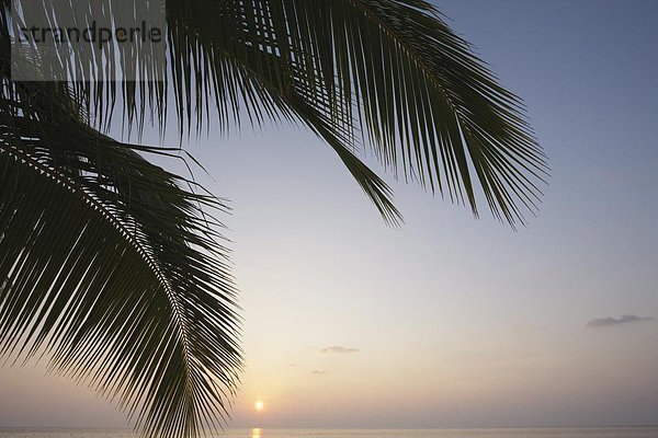 Sonnenaufgang  Malediven  Asien  Indischer Ozean  Indik