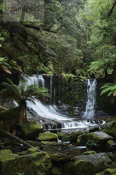 Pazifischer Ozean  Pazifik  Stiller Ozean  Großer Ozean  UNESCO-Welterbe  Horseshoe Falls  Australien  Tasmanien