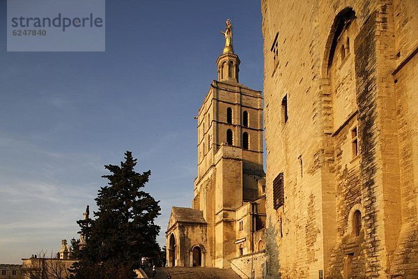 Frankreich  Europa  UNESCO-Welterbe  Avignon  Vaucluse