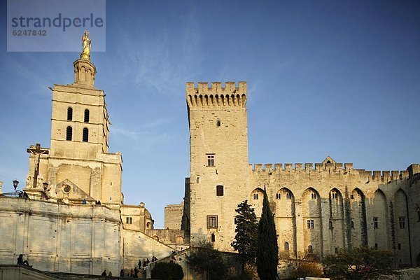 Frankreich  Europa  UNESCO-Welterbe  Avignon  Vaucluse