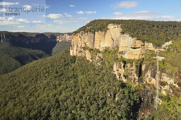 springen  Tal  Pazifischer Ozean  Pazifik  Stiller Ozean  Großer Ozean  Ansicht  UNESCO-Welterbe  Australien  New South Wales