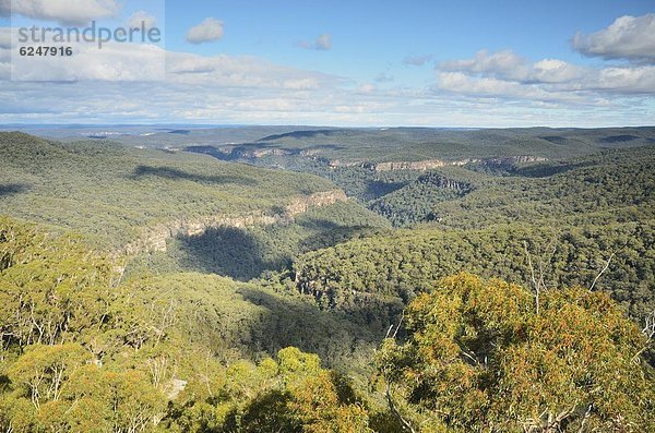 Pazifischer Ozean  Pazifik  Stiller Ozean  Großer Ozean  Australien  New South Wales