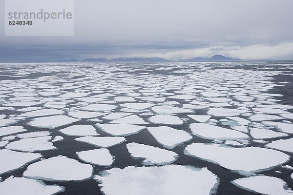 Eisscholle  Arktis  Grönland