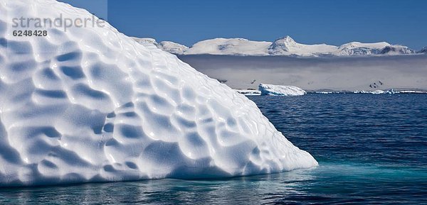 Eisberg  bizarr  Muster  Antarktis  Halbinsel