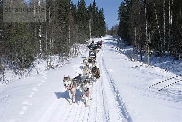 Europa Finnland Skandinavien