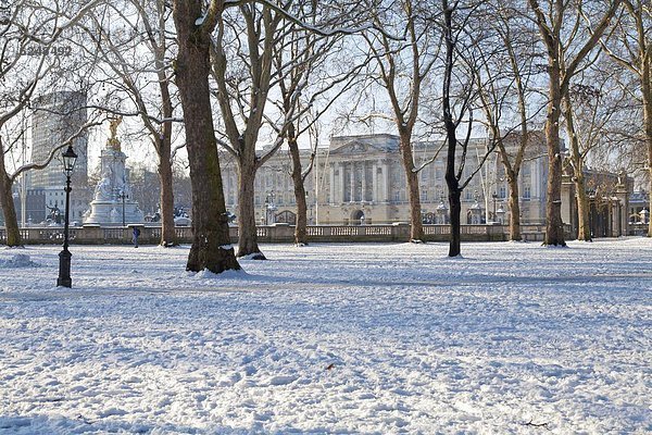 Buckingham Palace im Winter  London  England  Großbritannien  Europa