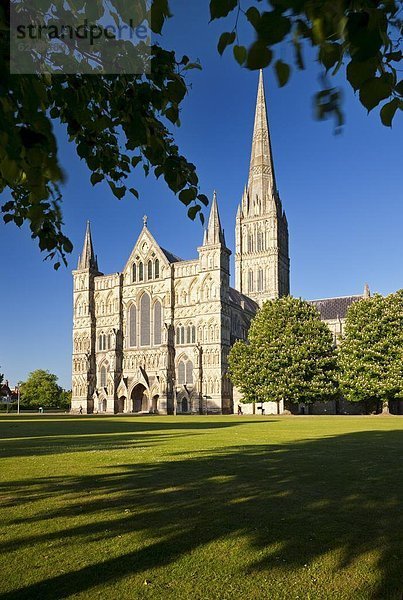 nahe  Europa  Großbritannien  Kathedrale  England  Salisbury  Wiltshire