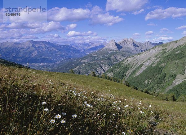 Frankreich  Europa  Alpen  Provence - Alpes-Cote d Azur  Alpes-de-Haute-Provence
