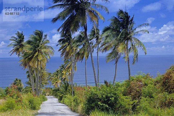 Karibik  Westindische Inseln  Barbados  Mittelamerika