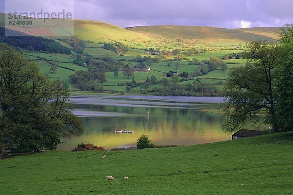 Europa  Großbritannien  Wales