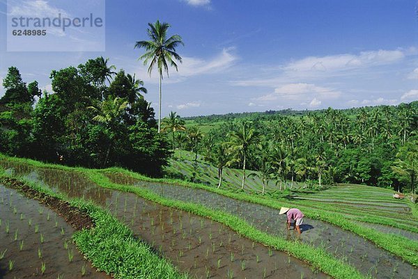 Asien  Indonesien