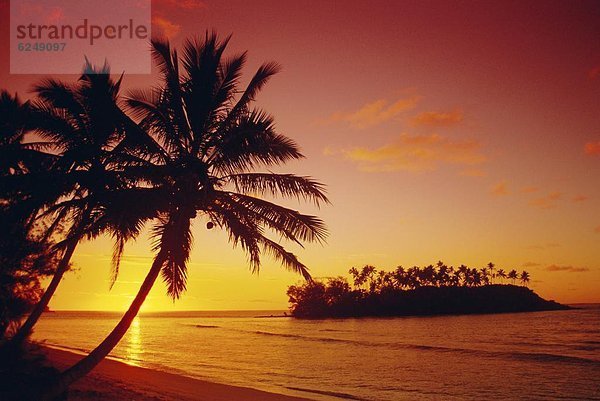 Baum  Silhouette  Sonnenaufgang  Wüste  Insel  Pazifischer Ozean  Pazifik  Stiller Ozean  Großer Ozean  Cook-Inseln  Rarotonga