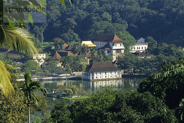 Gebäude Buddha Kandy Reliquie Sri Lanka