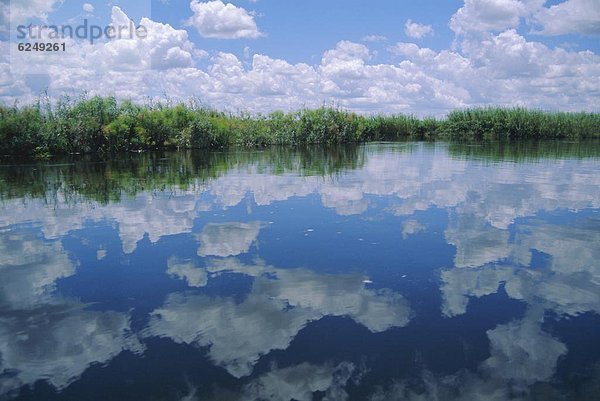 Okavango-Delta  Botsuana  Afrika