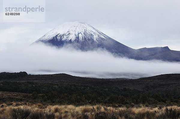 Pazifischer Ozean  Pazifik  Stiller Ozean  Großer Ozean  neuseeländische Nordinsel  Mount Ngauruhoe  Neuseeland