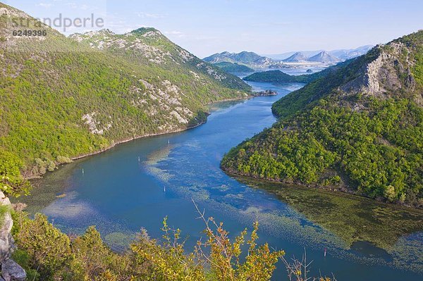 Biegung  Biegungen  Kurve  Kurven  gewölbt  Bogen  gebogen  Europa  Fluss  groß  großes  großer  große  großen  Montenegro