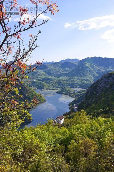 Biegung  Biegungen  Kurve  Kurven  gewölbt  Bogen  gebogen  Europa  Fluss  groß  großes  großer  große  großen  Montenegro