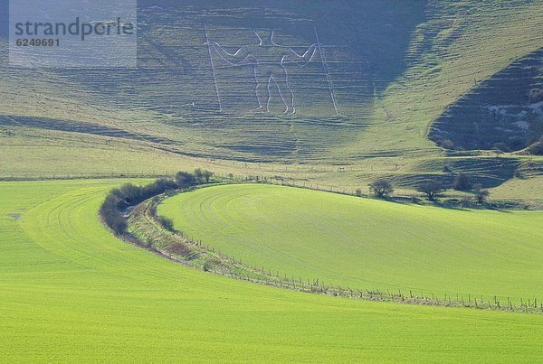 Großbritannien  East Sussex  England