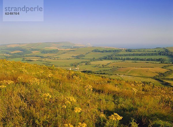 Dorset  England  Isle of Purbeck