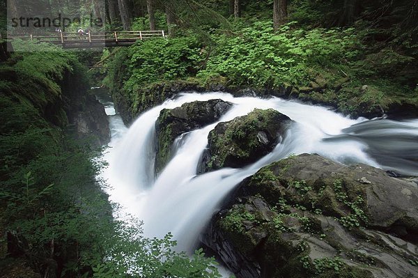 Vereinigte Staaten von Amerika  USA  Nordamerika  UNESCO-Welterbe  Olympic Nationalpark  Washington State