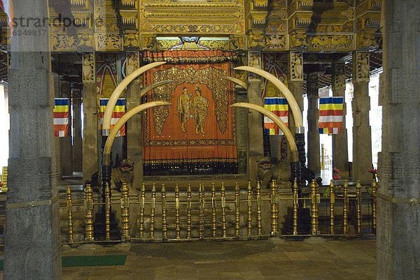 Heiligkeit  Asien  Kandy  Reliquie  Sri Lanka