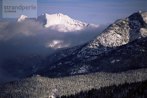 sehen  hoch  oben  Nordamerika  British Columbia  Kanada