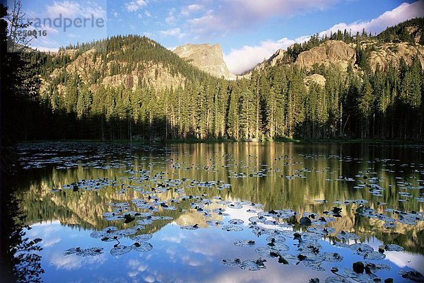 Vereinigte Staaten von Amerika  USA  Baum  über  Sonnenaufgang  See  Nordamerika  Ansicht  Colorado