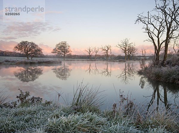 Stilleben  still  stills  Stillleben  nebeneinander  neben  Seite an Seite  Europa  Morgen  Baum  Großbritannien  See  angeln  Kälte  Devon  England