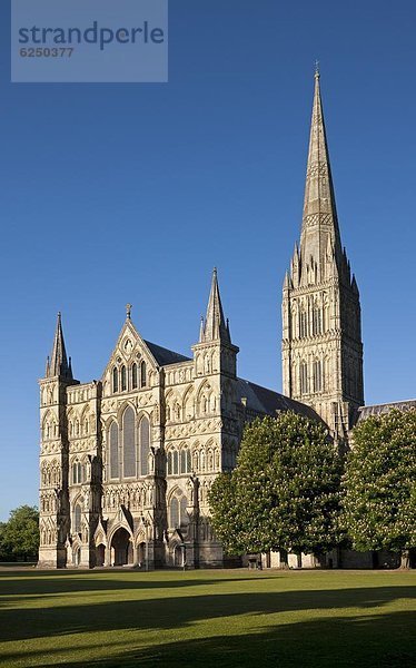 Europa  Großbritannien  Kathedrale  Kirchturm  Komplexität  England  Salisbury  Wiltshire