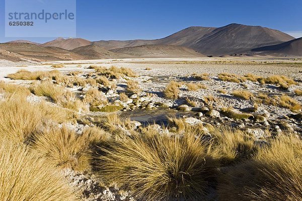 sehen  über  See  hoch  oben  Atacama  Chile  Speisesalz  Salz  Südamerika