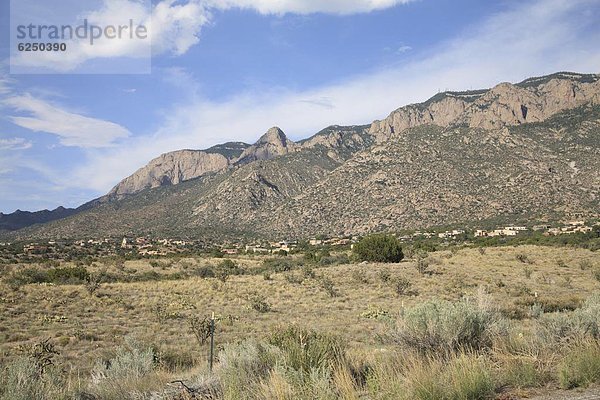 Vereinigte Staaten von Amerika  USA  Nordamerika  Albuquerque  New Mexico