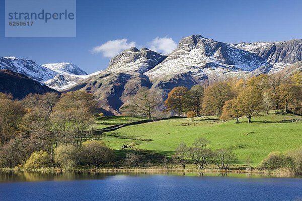 Farbaufnahme  Farbe  nebeneinander  neben  Seite an Seite  Europa  Berg  Großbritannien  Herbst  Staub  Ansicht  Hecht  Esox lucius  Cumbria  England  Schnee  Tarn