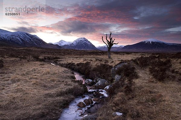 entfernt Europa Schnee Berg Winter bedecken Sonnenuntergang Großbritannien Highlands Ansicht gefroren Moor Schottland