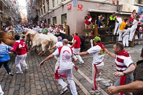 Bulle  Stier  Stiere  Bullen  Europa  rennen  Pamplona  Spanien