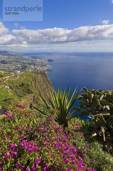 Europa  sehen  Steilküste  Meer  Insel  1  Atlantischer Ozean  Atlantik  Funchal  Madeira  Portugal