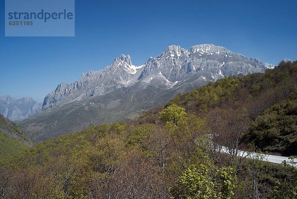 Europa  Picos de Europa  Spanien