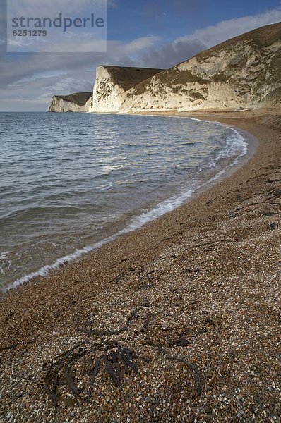 Europa  sehen  Strand  Großbritannien  Tür  UNESCO-Welterbe  Dorset  England