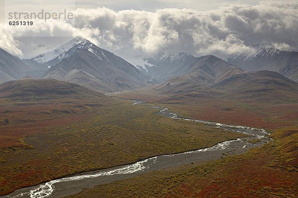 Vereinigte Staaten von Amerika  USA  Farbaufnahme  Farbe  Berg  Nordamerika  Denali Nationalpark  Alaska  Tundra