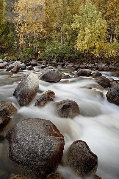 Vereinigte Staaten von Amerika  USA  Farbaufnahme  Farbe  klein  Ereignis  Fluss  Nordamerika  Susitna Flats State Game Refuge  Alaska