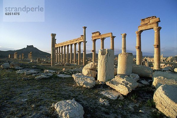 Naher Osten  UNESCO-Welterbe  Palmyra  Syrien