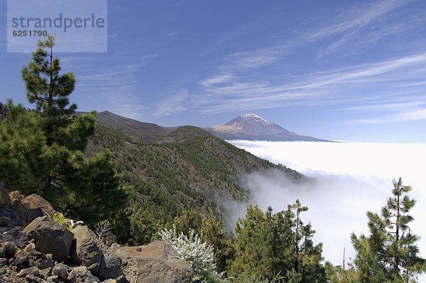 Kanaren  Kanarische Inseln  Spanien  Teneriffa